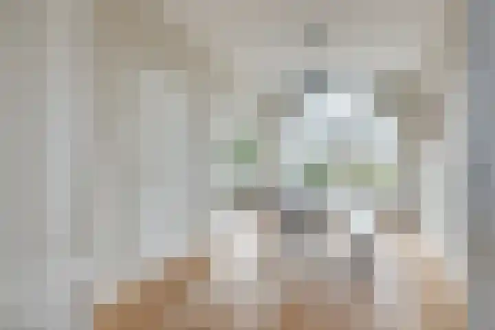 Leidsekade 121 BS Utrecht thumbnail 16