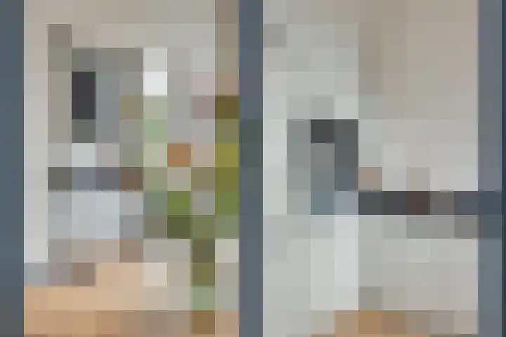 Leidsekade 121 BS Utrecht thumbnail 17