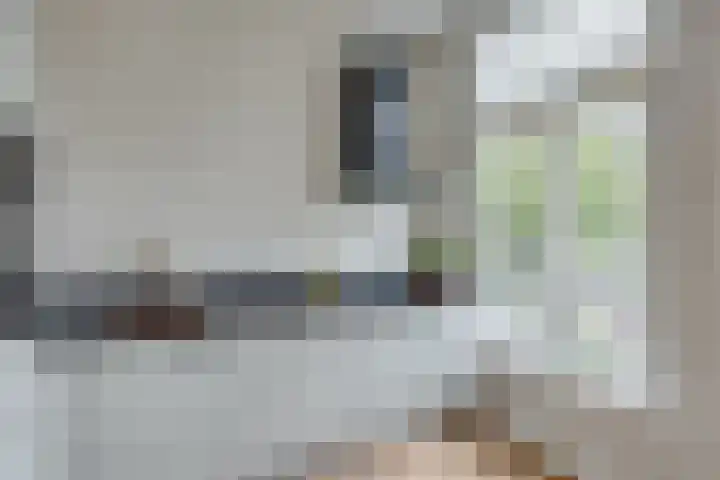 Leidsekade 121 BS Utrecht thumbnail 21