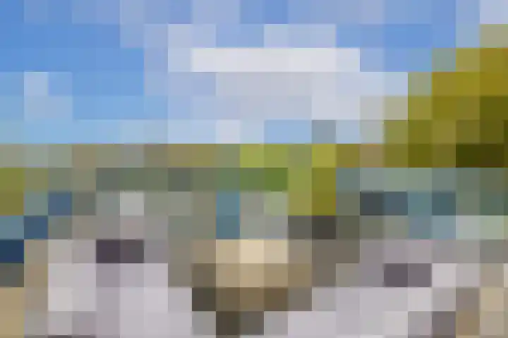 Leidsekade 121 BS Utrecht thumbnail 44