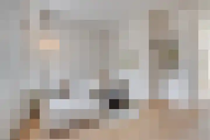 Leidsekade 121 BS Utrecht thumbnail 8