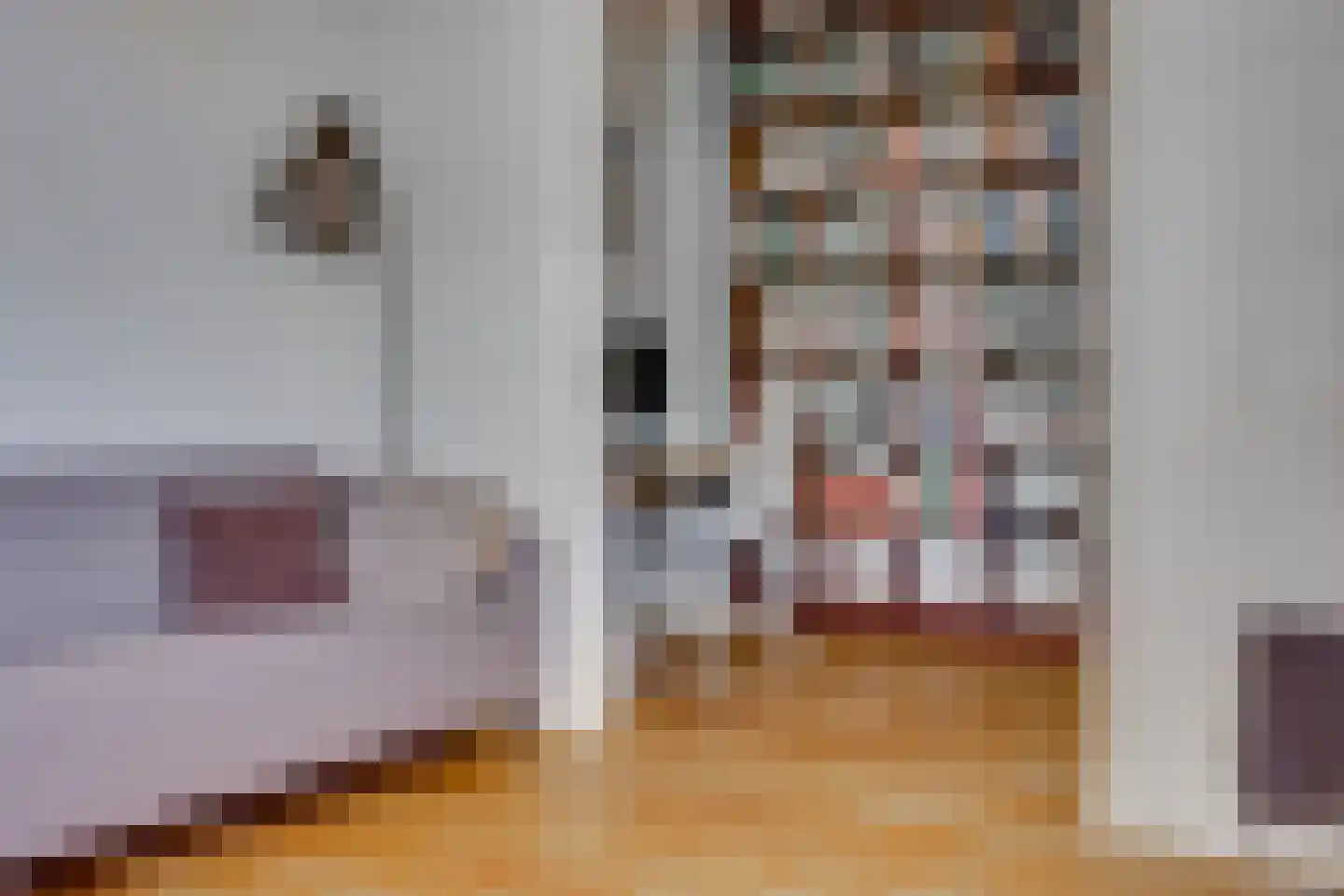 Leidsekade 123 Utrecht thumbnail 11