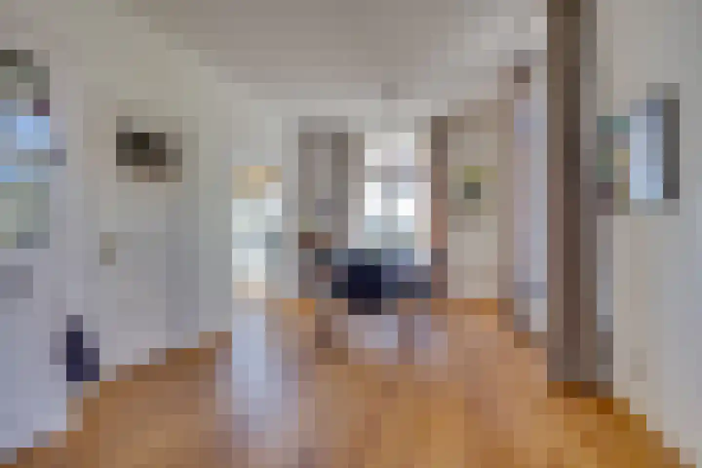 Leidsekade 123 Utrecht thumbnail 13