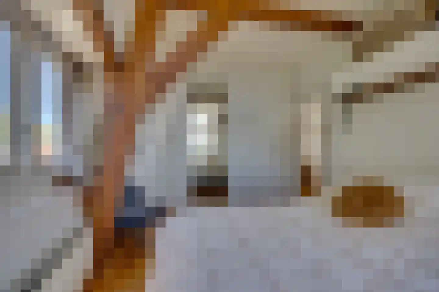 Leidsekade 123 Utrecht thumbnail 21