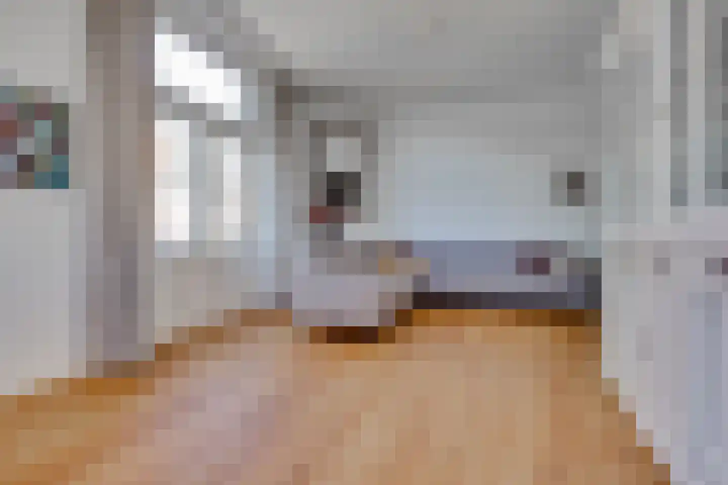 Leidsekade 123 Utrecht thumbnail 7