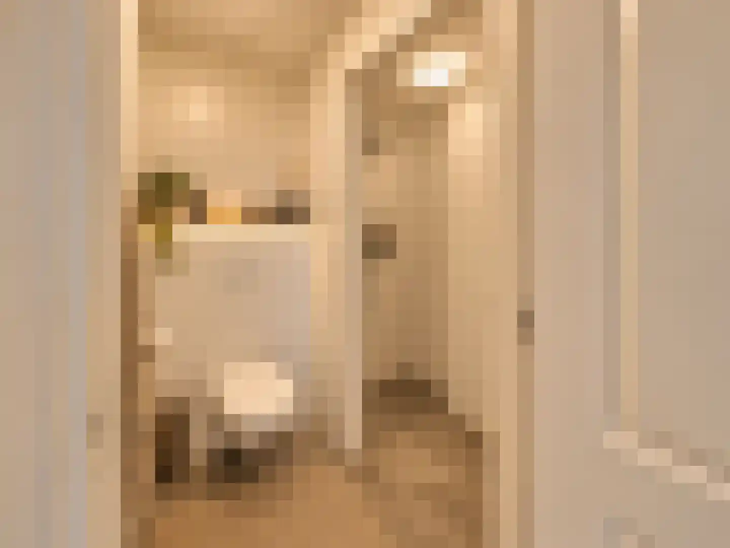 Leidsekade 19 Utrecht thumbnail 16