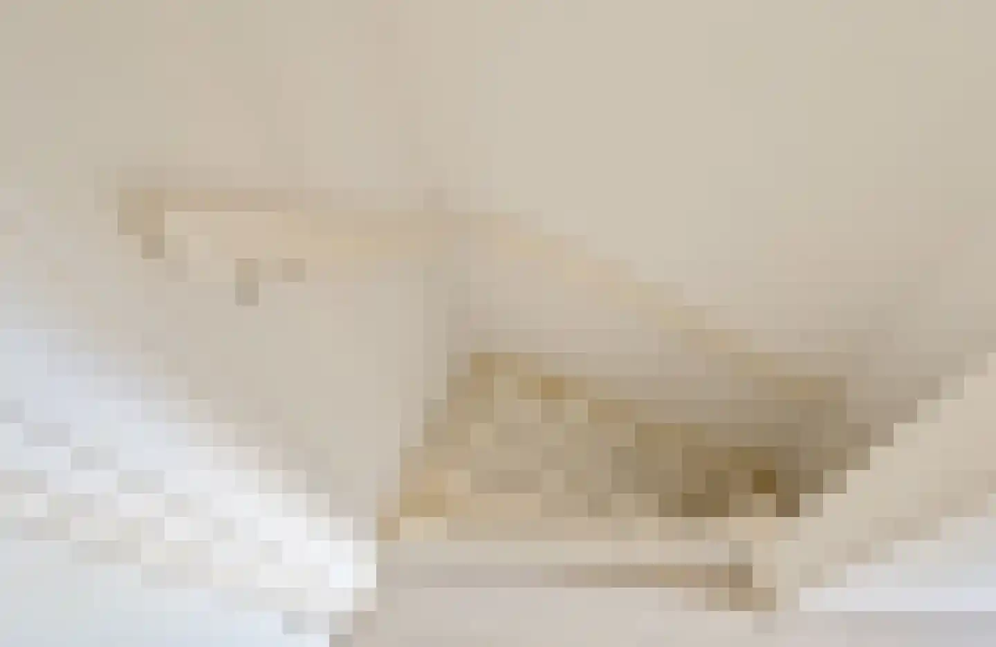 Leidsekade 19 Utrecht thumbnail 18