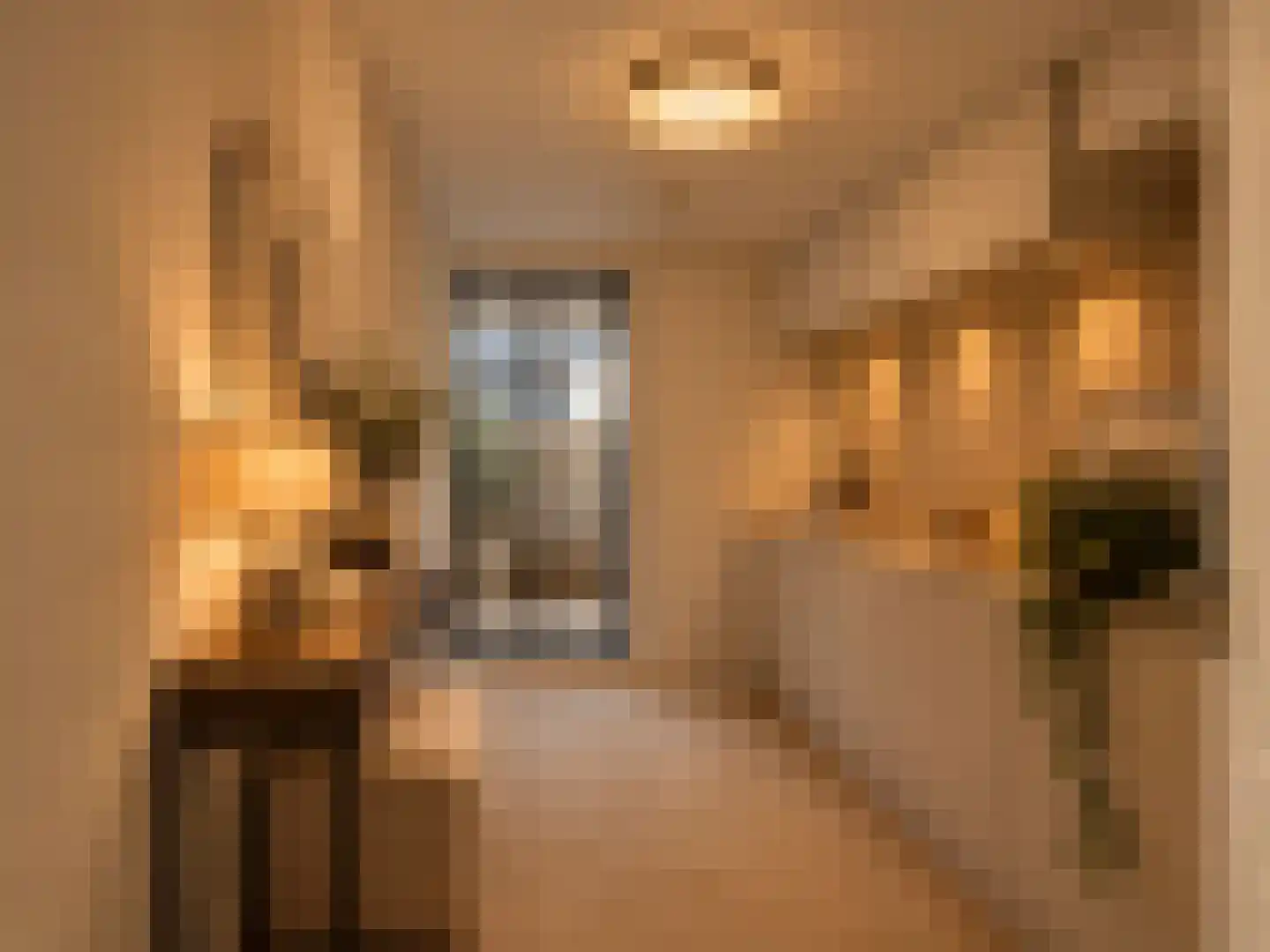 Leidsekade 19 Utrecht thumbnail 22