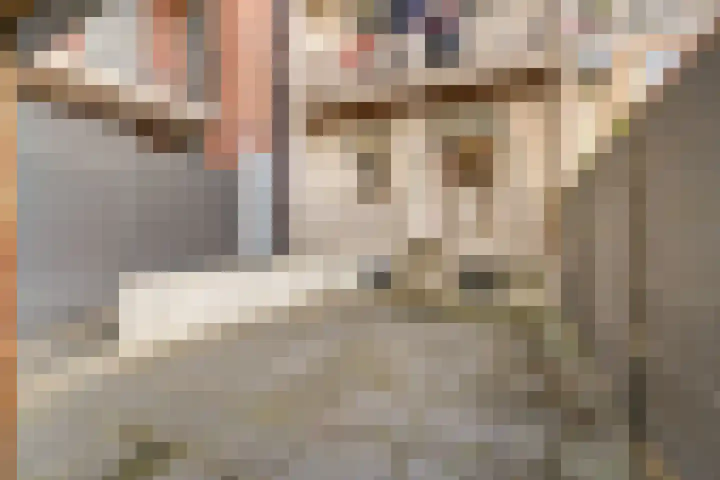 Leidsekade 19 Utrecht thumbnail 33