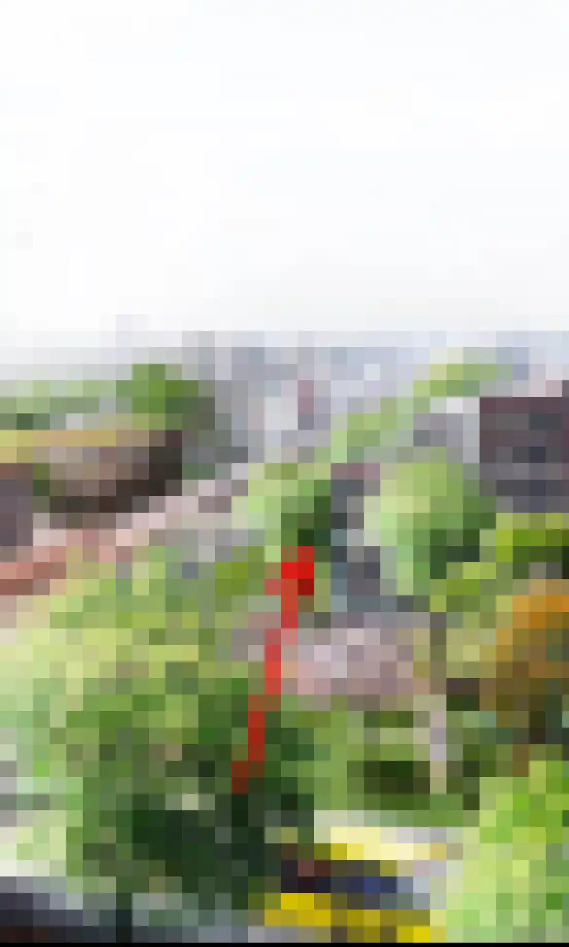 Leidsekade 19 Utrecht thumbnail 40