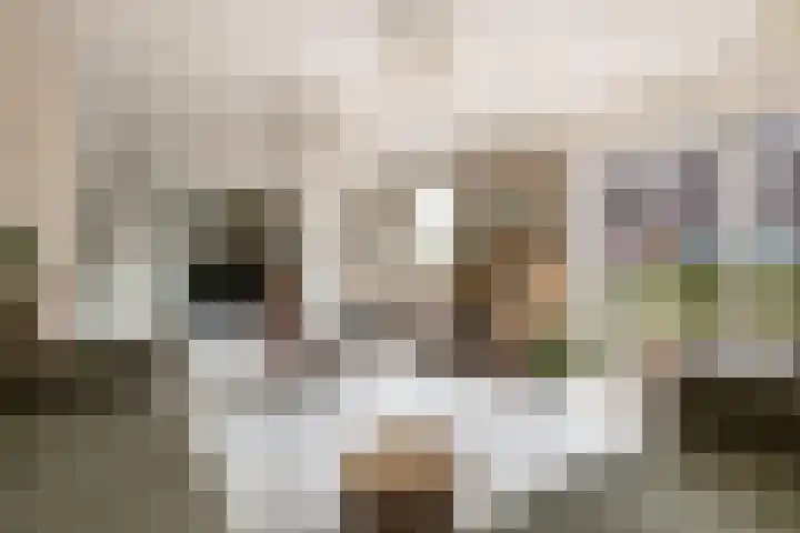 Leidsekade 216 Utrecht thumbnail 11