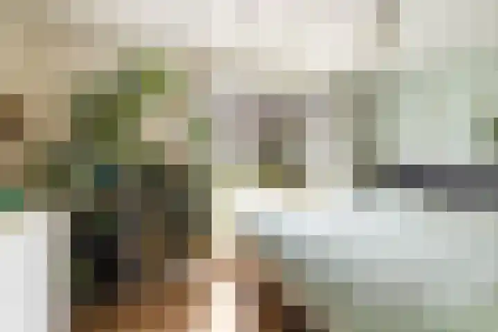Leidsekade 216 Utrecht thumbnail 21