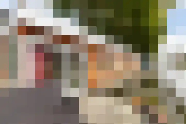 Leidsekade 216 Utrecht thumbnail 28