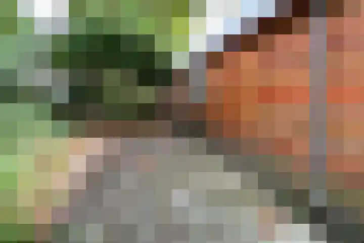Leidsekade 216 Utrecht thumbnail 32