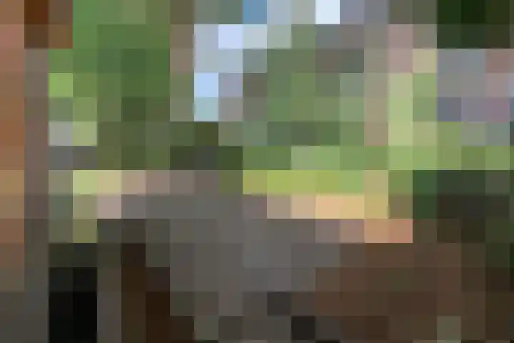 Leidsekade 216 Utrecht thumbnail 33