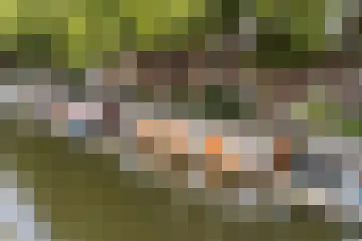 Leidsekade 216 Utrecht thumbnail 34