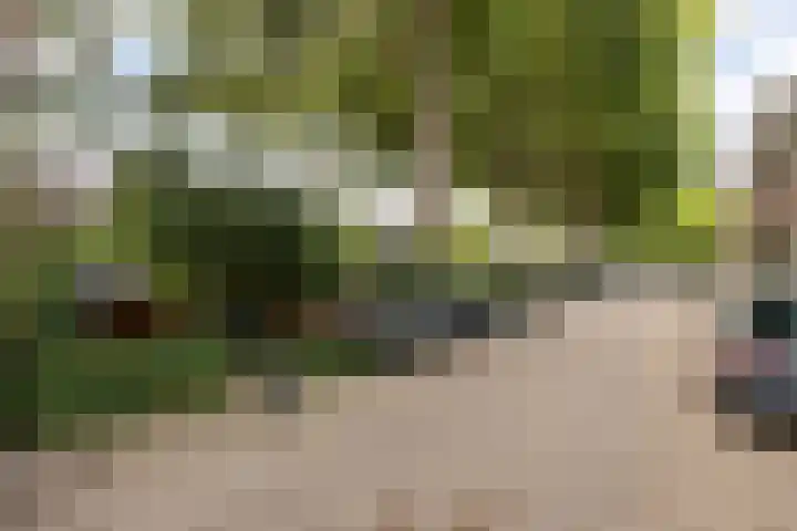 Leidsekade 216 Utrecht thumbnail 35