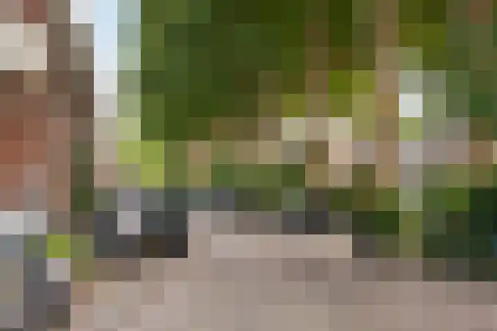 Leidsekade 216 Utrecht thumbnail 36