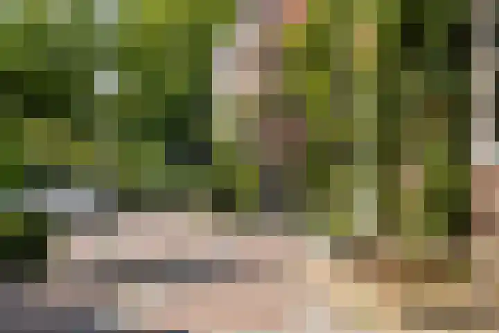 Leidsekade 216 Utrecht thumbnail 37
