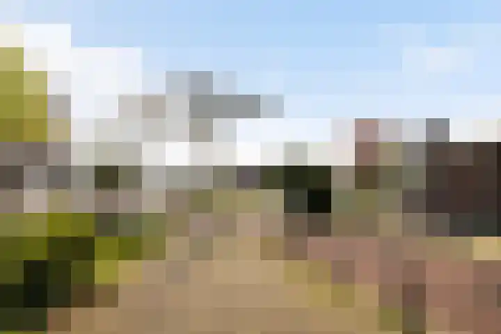 Leidsekade 216 Utrecht thumbnail 39