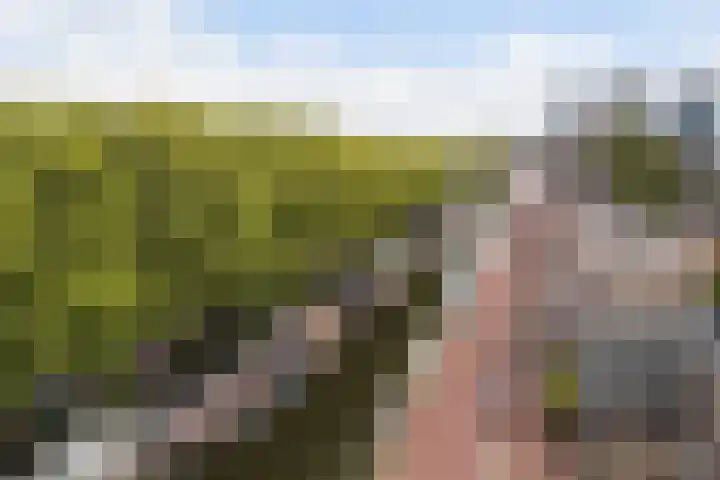 Leidsekade 216 Utrecht thumbnail 40
