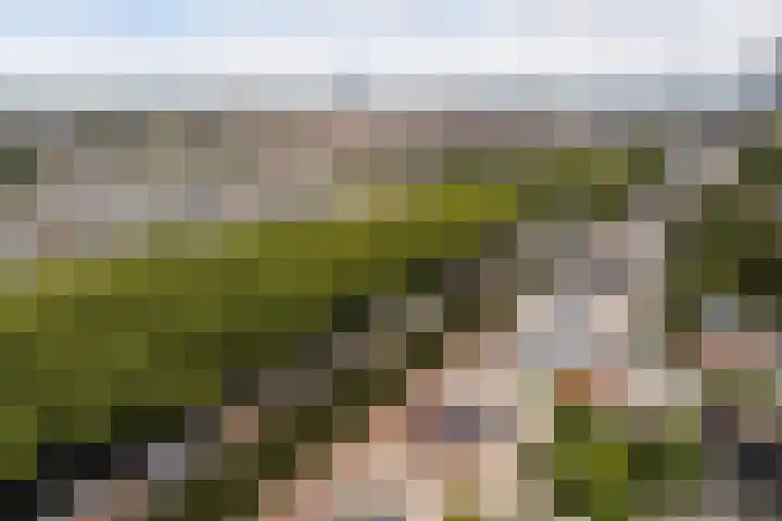 Leidsekade 216 Utrecht thumbnail 41