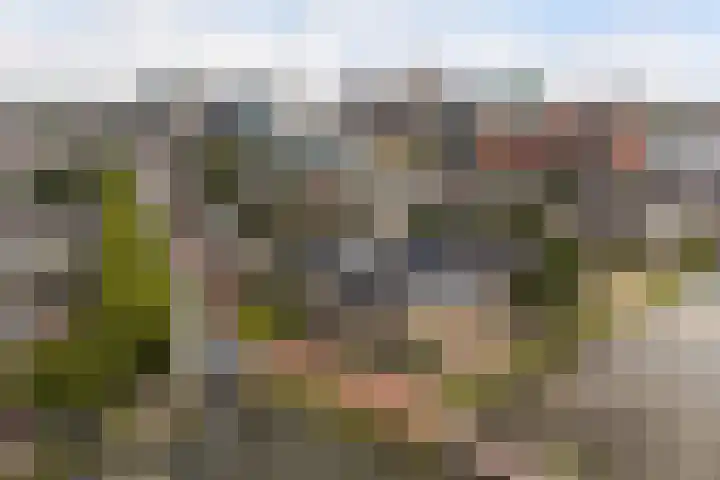 Leidsekade 216 Utrecht thumbnail 42