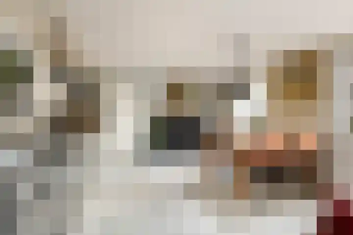 Leidsekade 216 Utrecht thumbnail 8