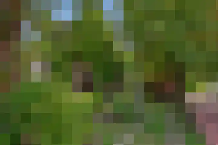 Leidsekade 29 Leidschendam thumbnail 4