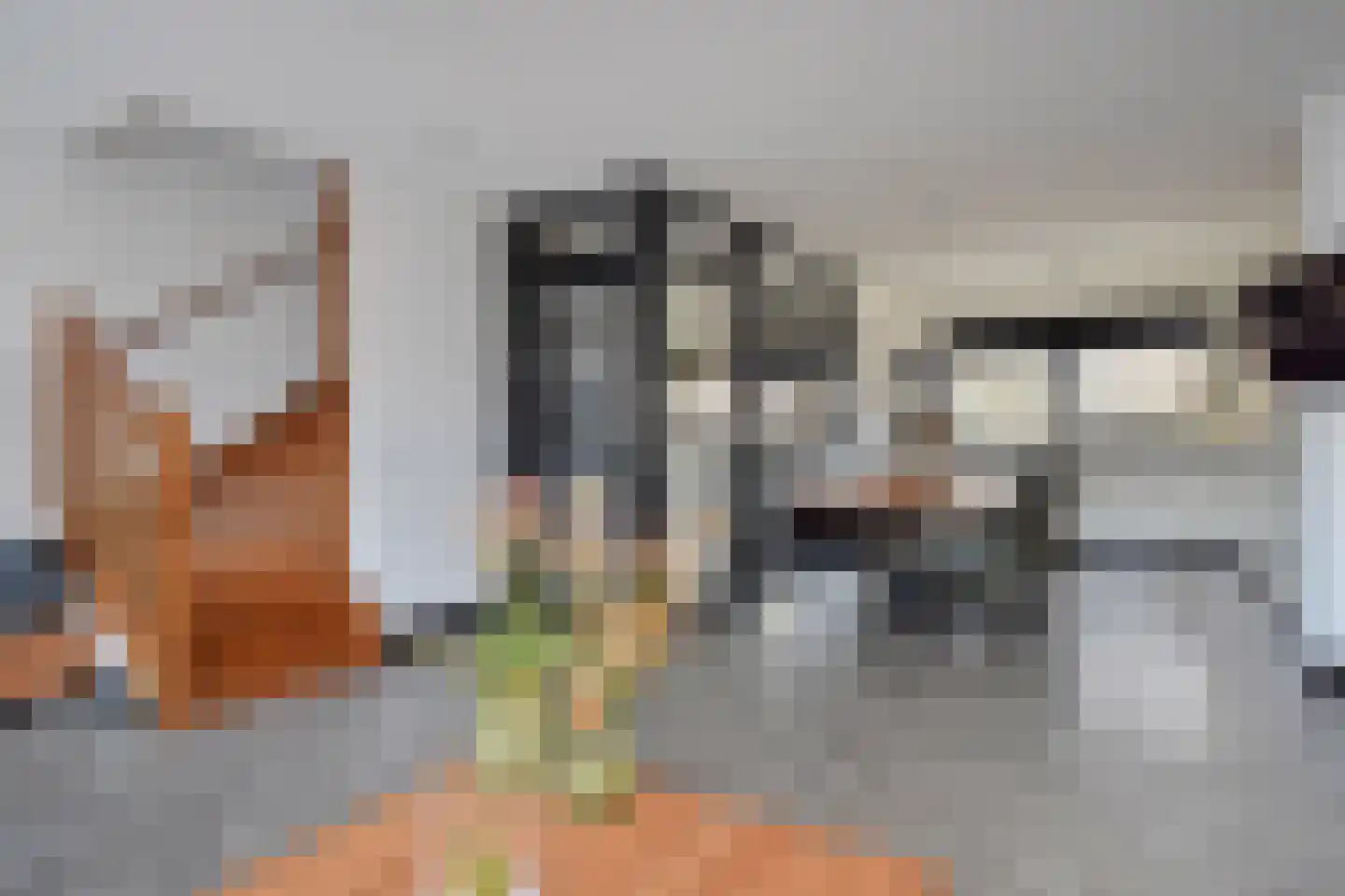 Leidsekade 42 Leidschendam thumbnail 16