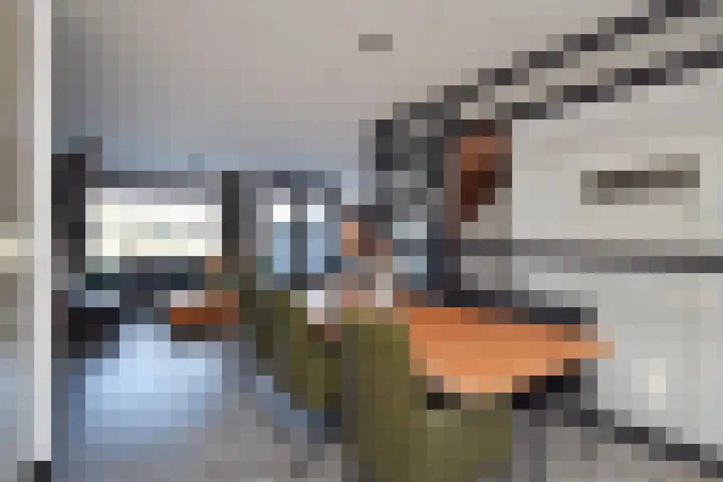 Leidsekade 42 Leidschendam thumbnail 18