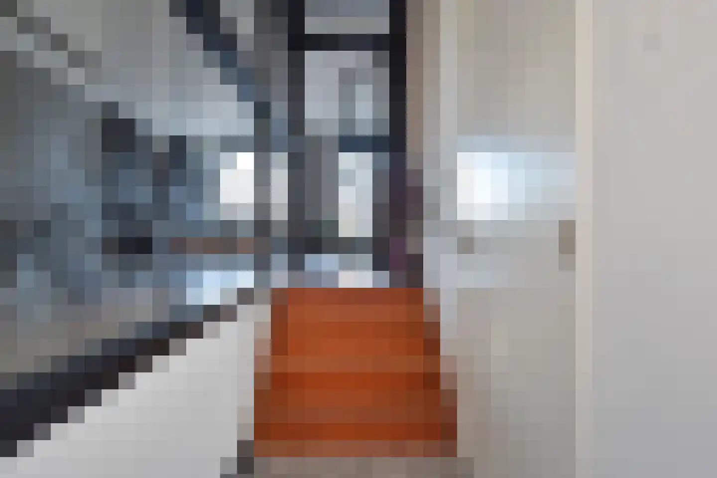 Leidsekade 42 Leidschendam thumbnail 8