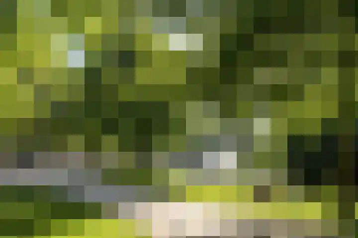 Leidsekade 59 3 Amsterdam thumbnail 15