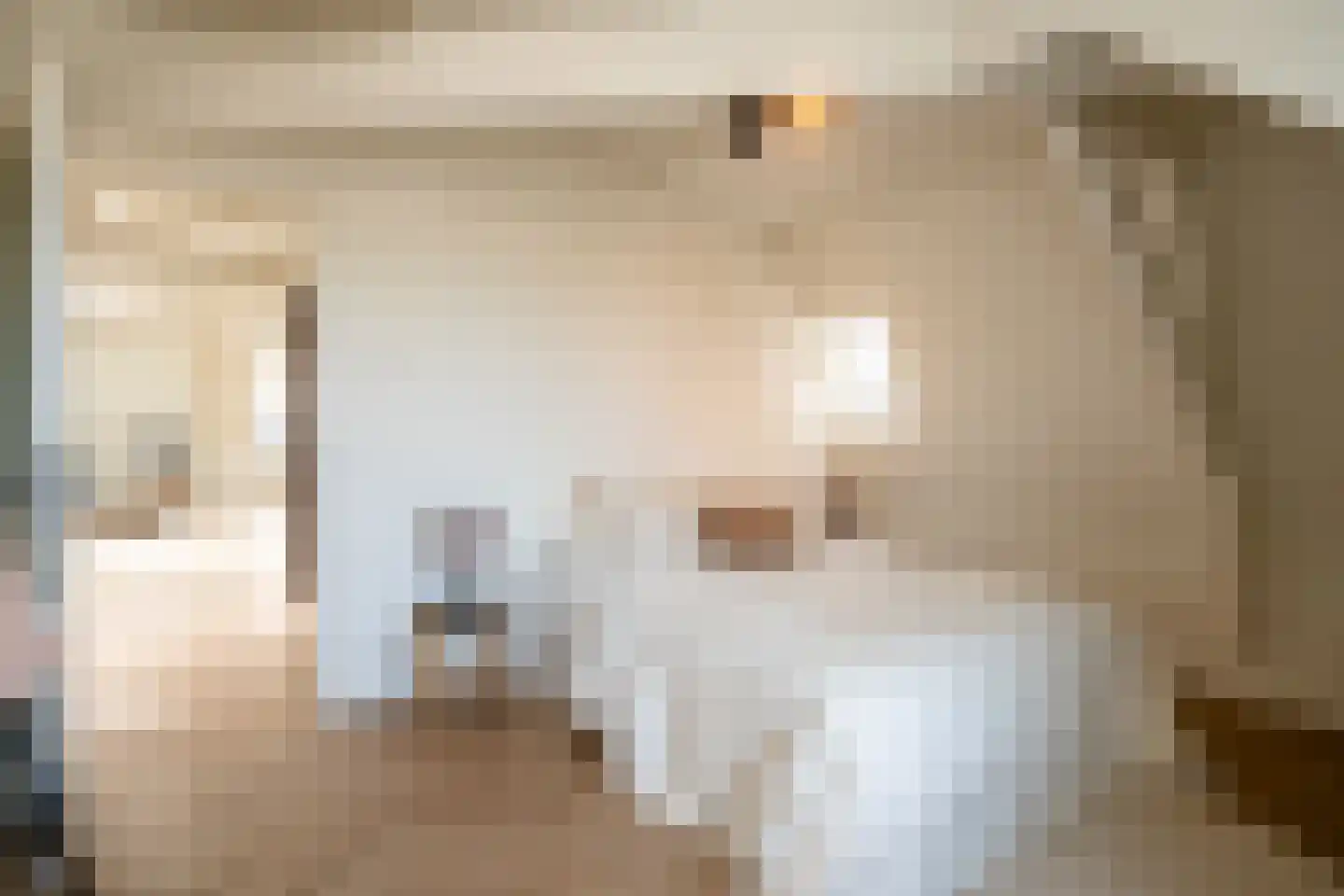 Leidsekade 59 B Amsterdam thumbnail 15