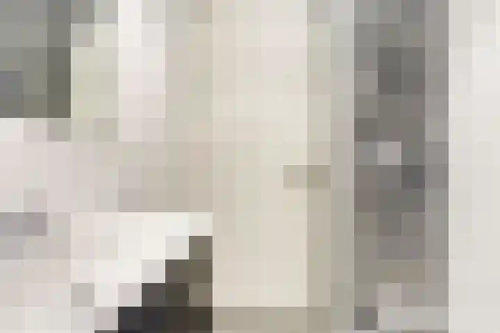 Leidsekade 71 2 Amsterdam thumbnail 16