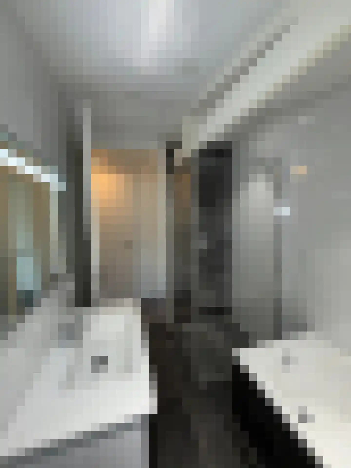 Leidsekade 71 3 Amsterdam thumbnail 12