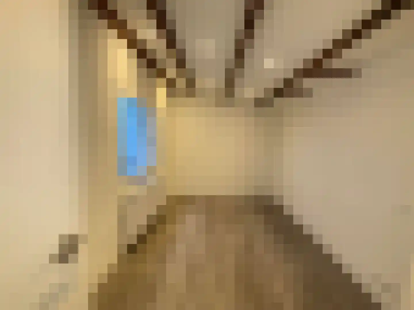 Leidsekade 71 3 Amsterdam thumbnail 5