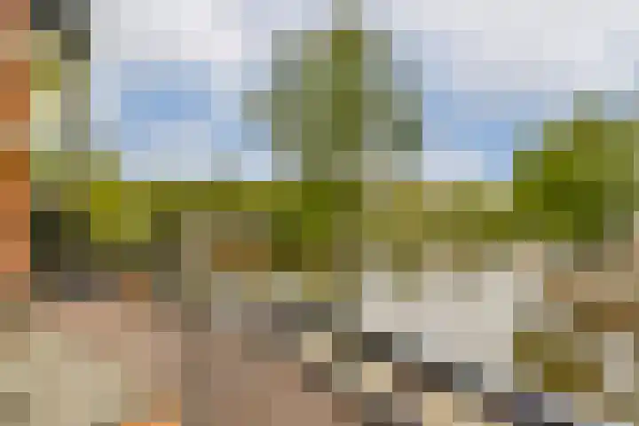 Leidsekade 75 1 Amsterdam thumbnail 19