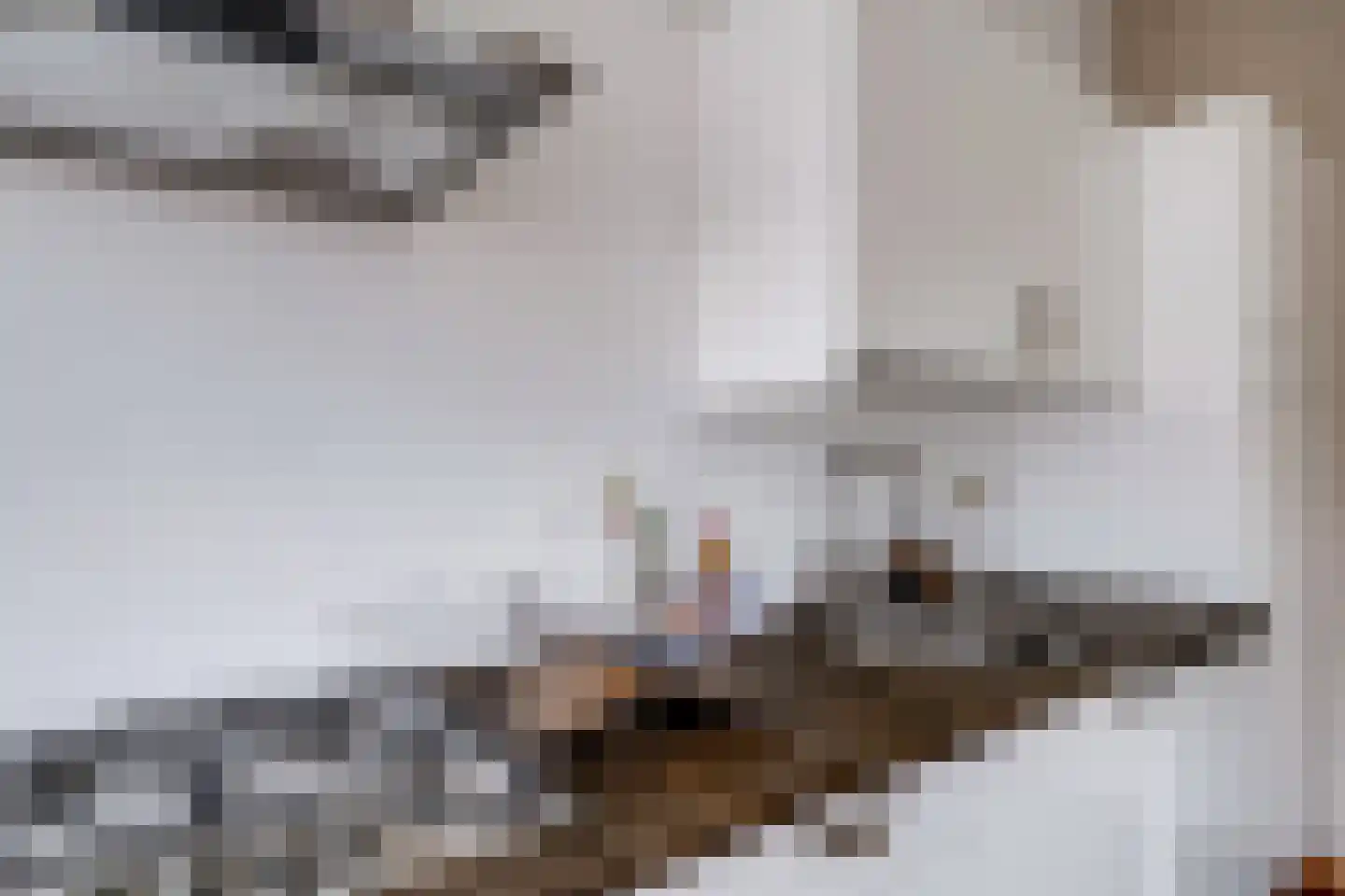 Leidsekade 79 B Utrecht thumbnail 13