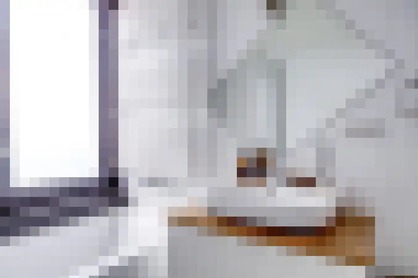 Leidsekade 79 B Utrecht thumbnail 23