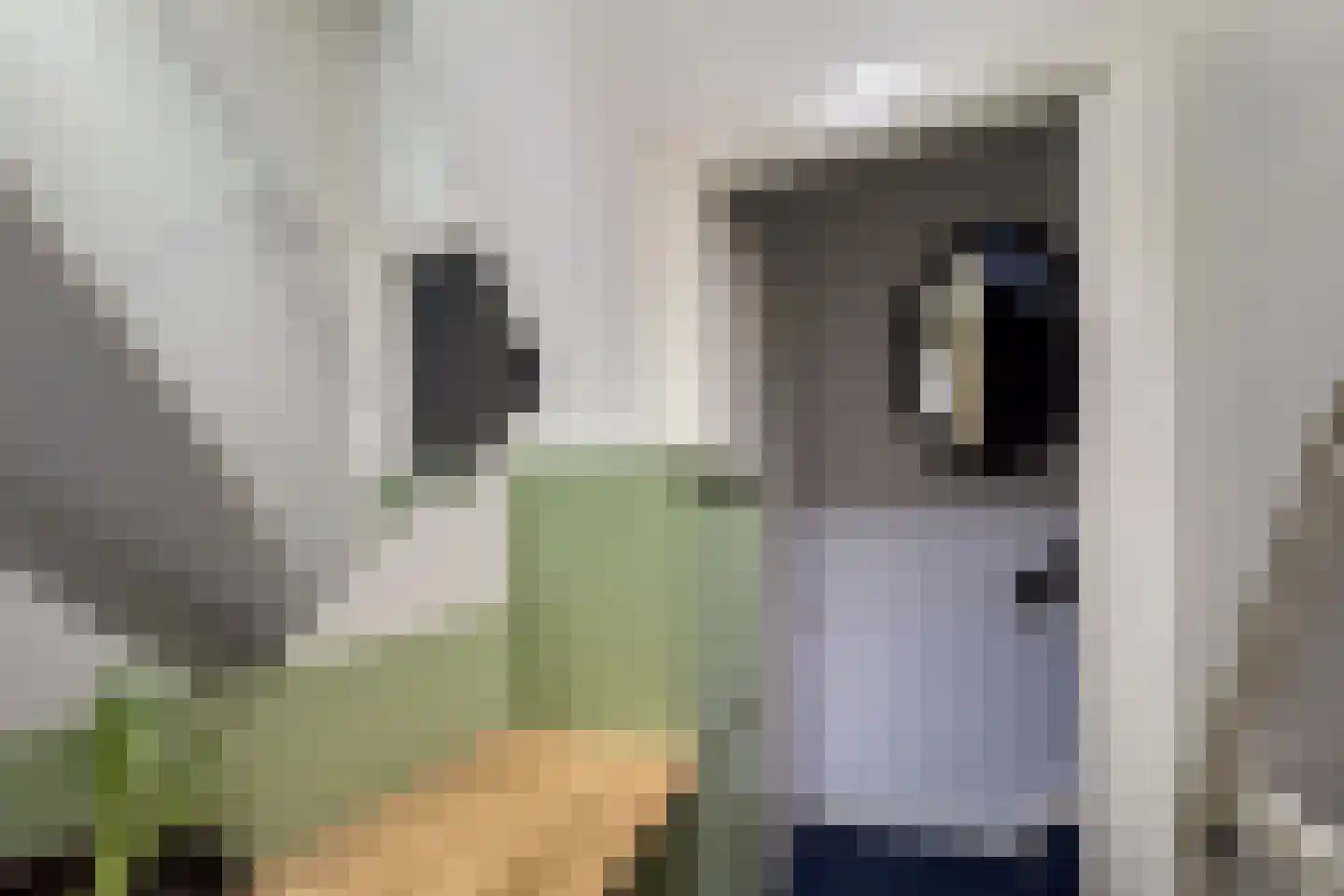 Leidsekade 79 B Utrecht thumbnail 36