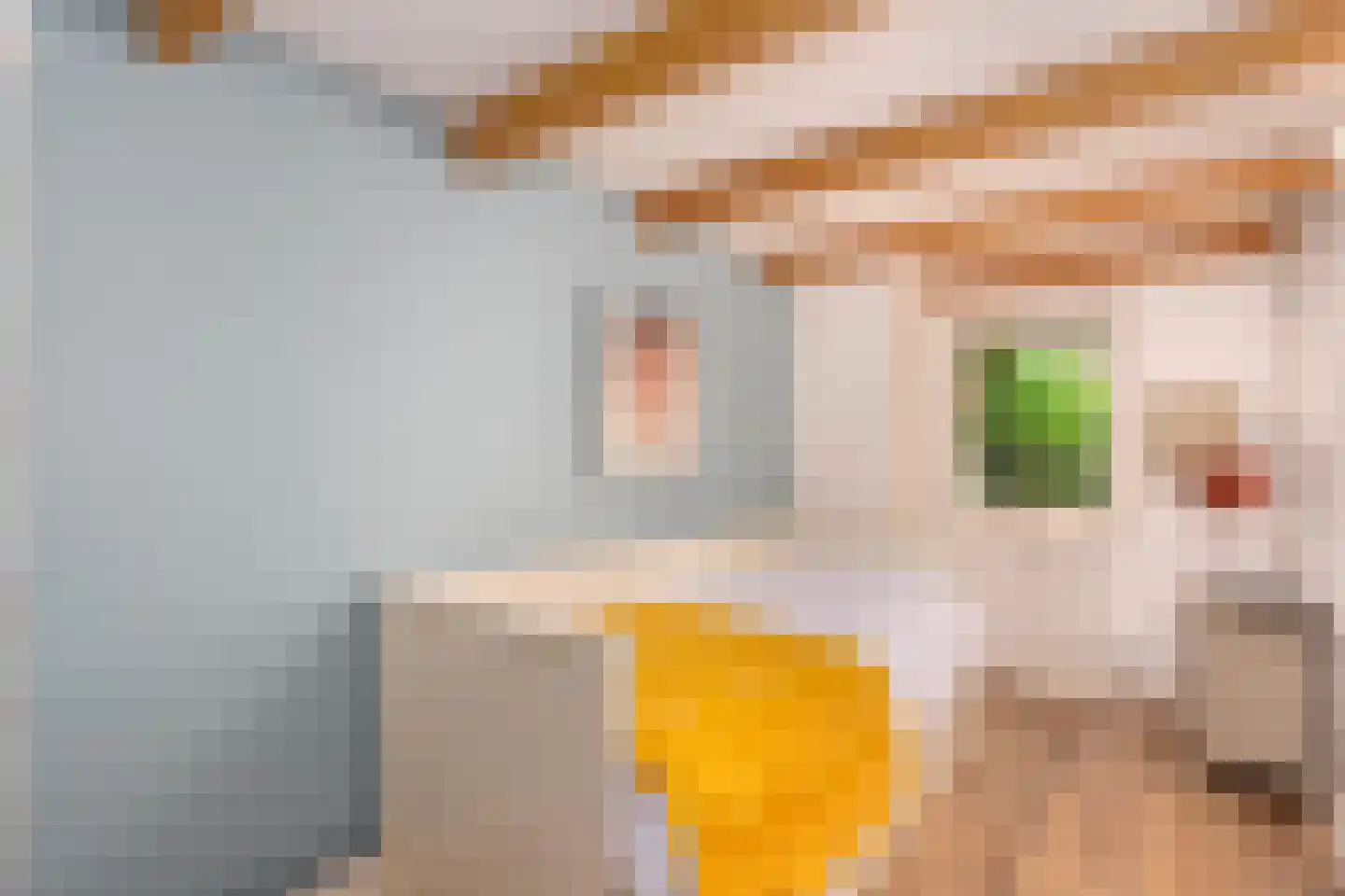 Leidsekade 87 Utrecht thumbnail 24