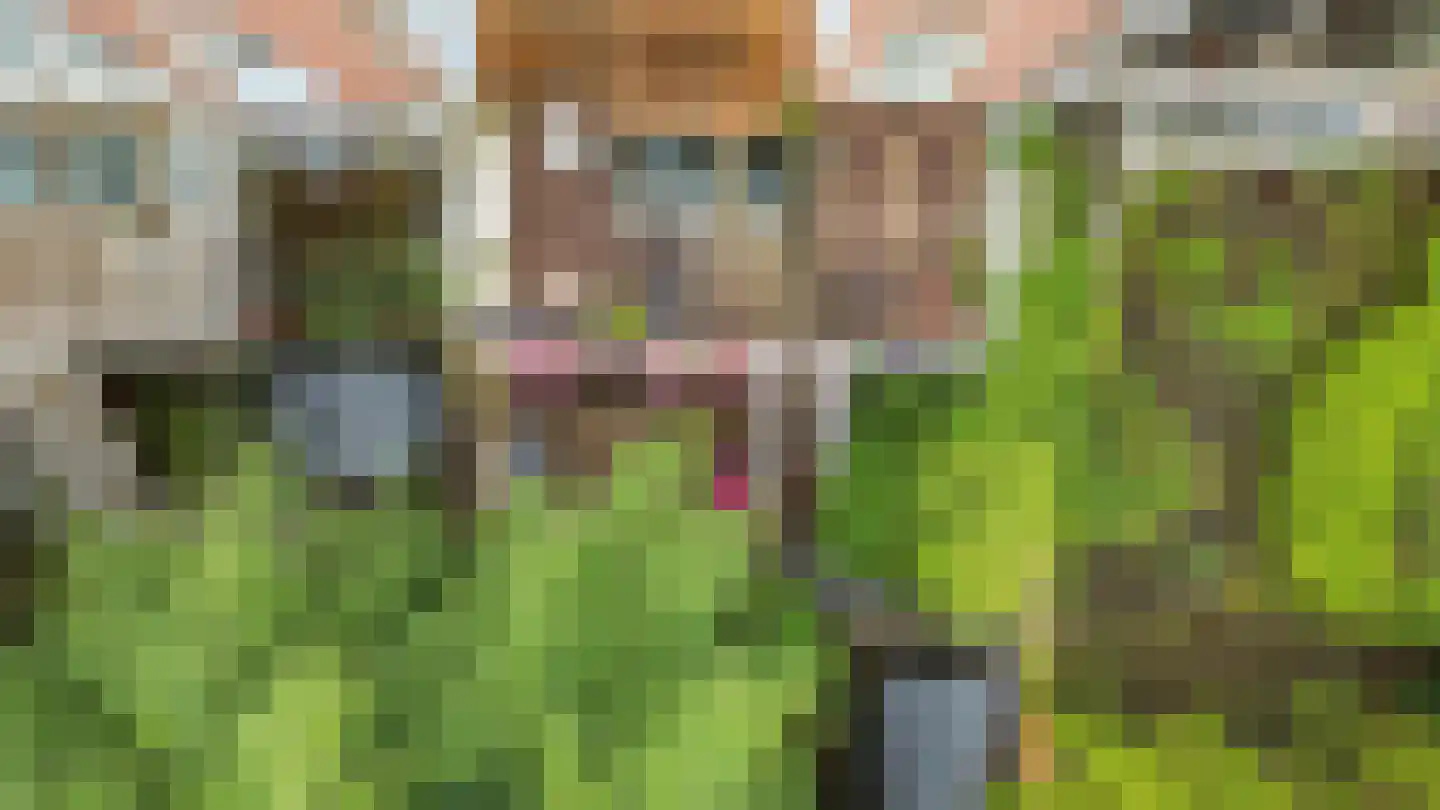 Leidsekade 87 Utrecht thumbnail 37