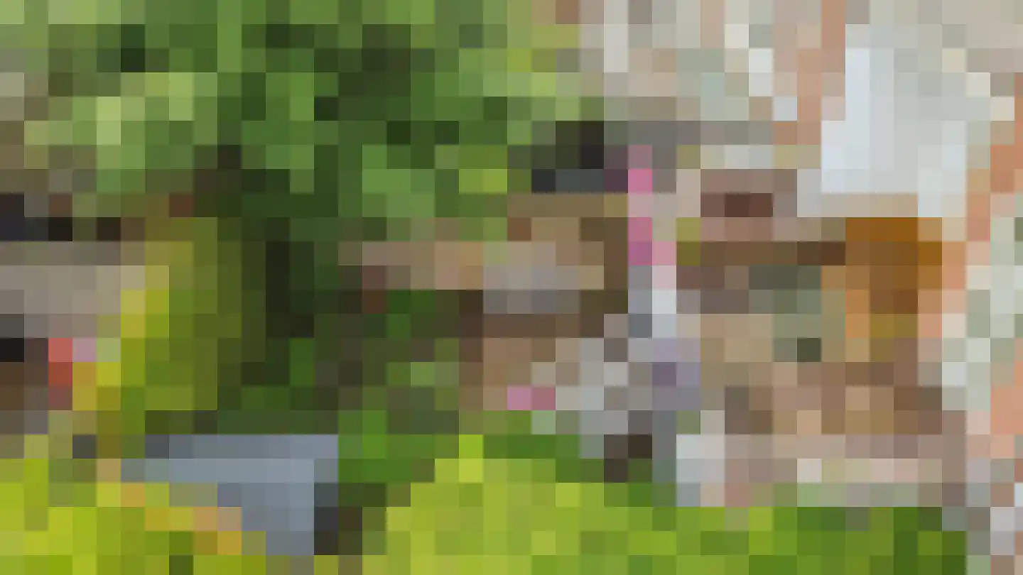 Leidsekade 87 Utrecht thumbnail 38