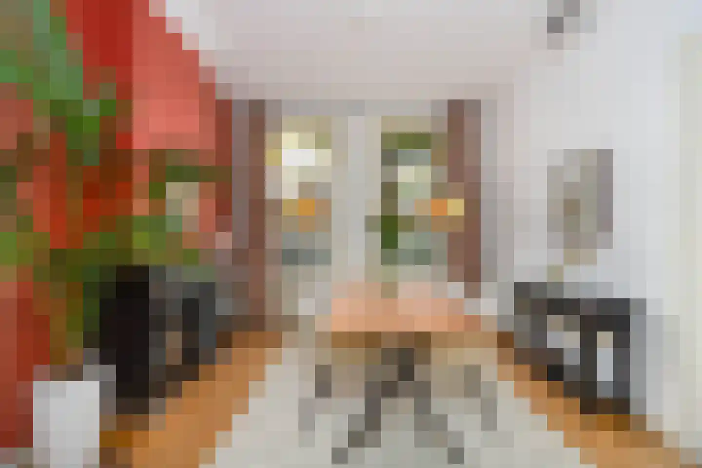 Leidsekade 87 Utrecht thumbnail 7