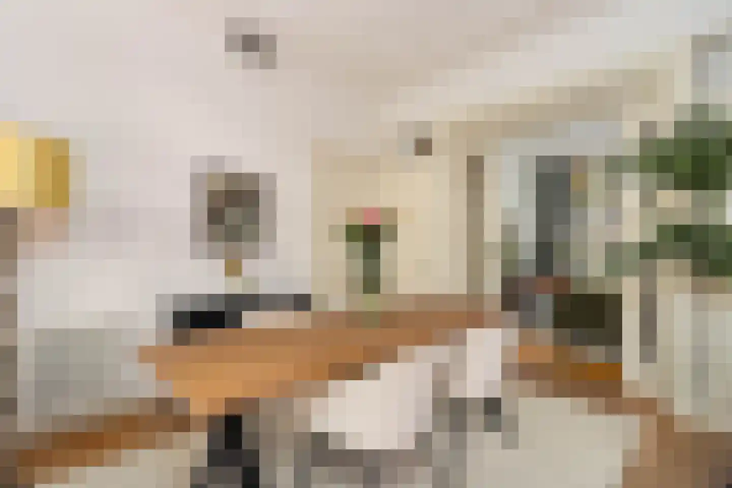Leidsekade 87 Utrecht thumbnail 9