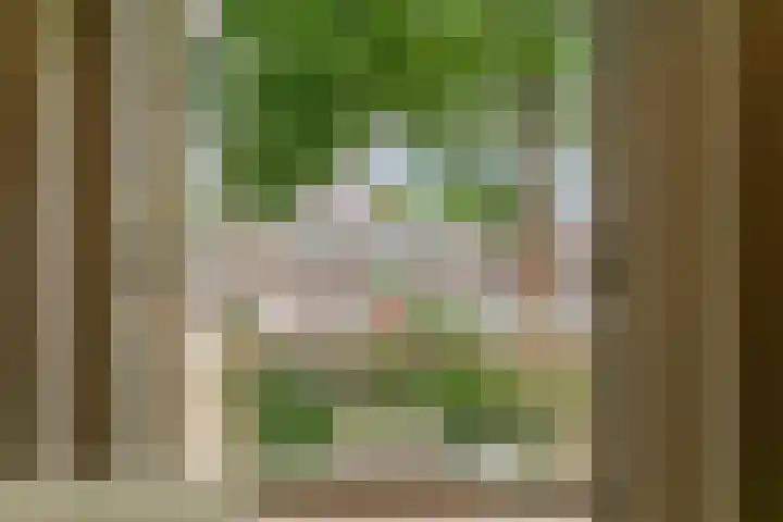 Leidsekade 88 BS Utrecht thumbnail 18