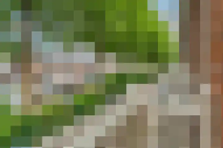 Leidsekade 88 BS Utrecht thumbnail 19