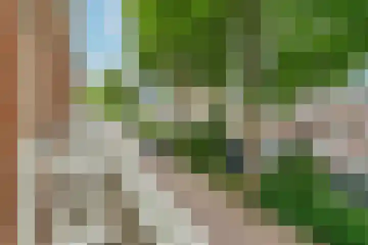Leidsekade 88 BS Utrecht thumbnail 20