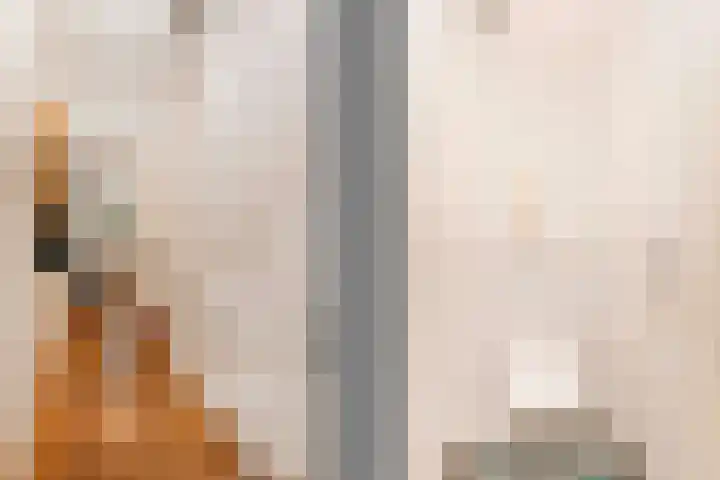 Leidsekade 88 BS Utrecht thumbnail 21